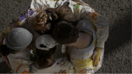 PES 5